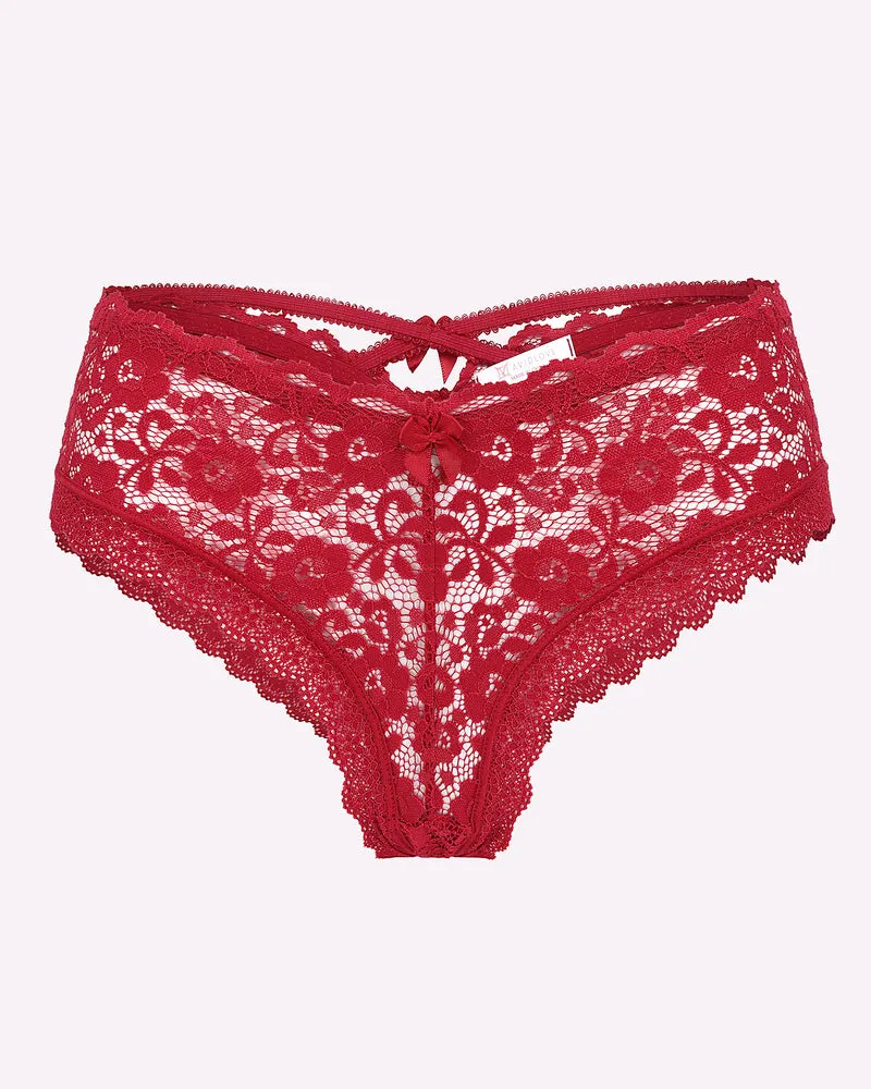 Lace Criss Cross Back Floral Hipster Panties